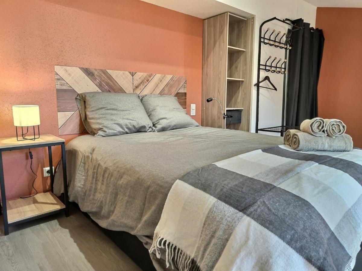 Le Coquelicot - Hyper-Centre - Wifi - Calme Apartment Алби Екстериор снимка