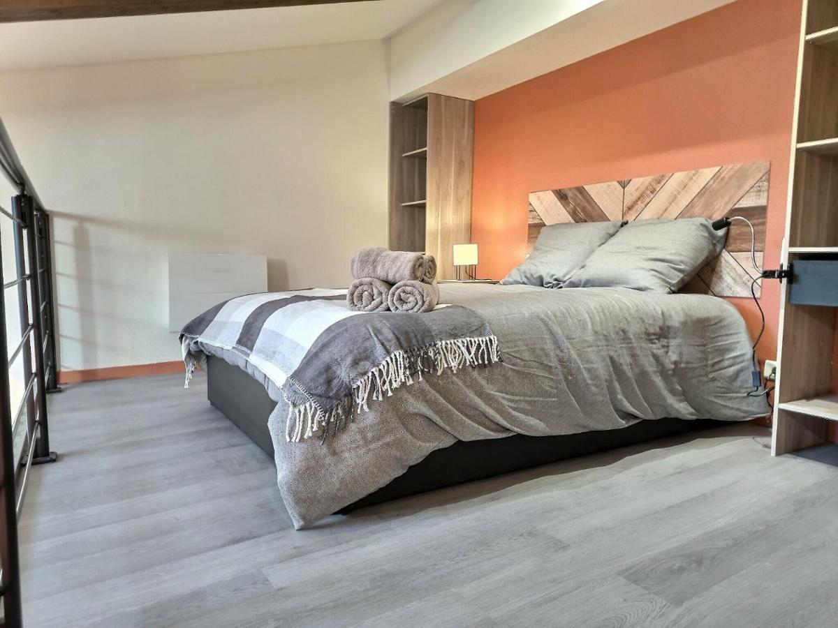 Le Coquelicot - Hyper-Centre - Wifi - Calme Apartment Алби Екстериор снимка