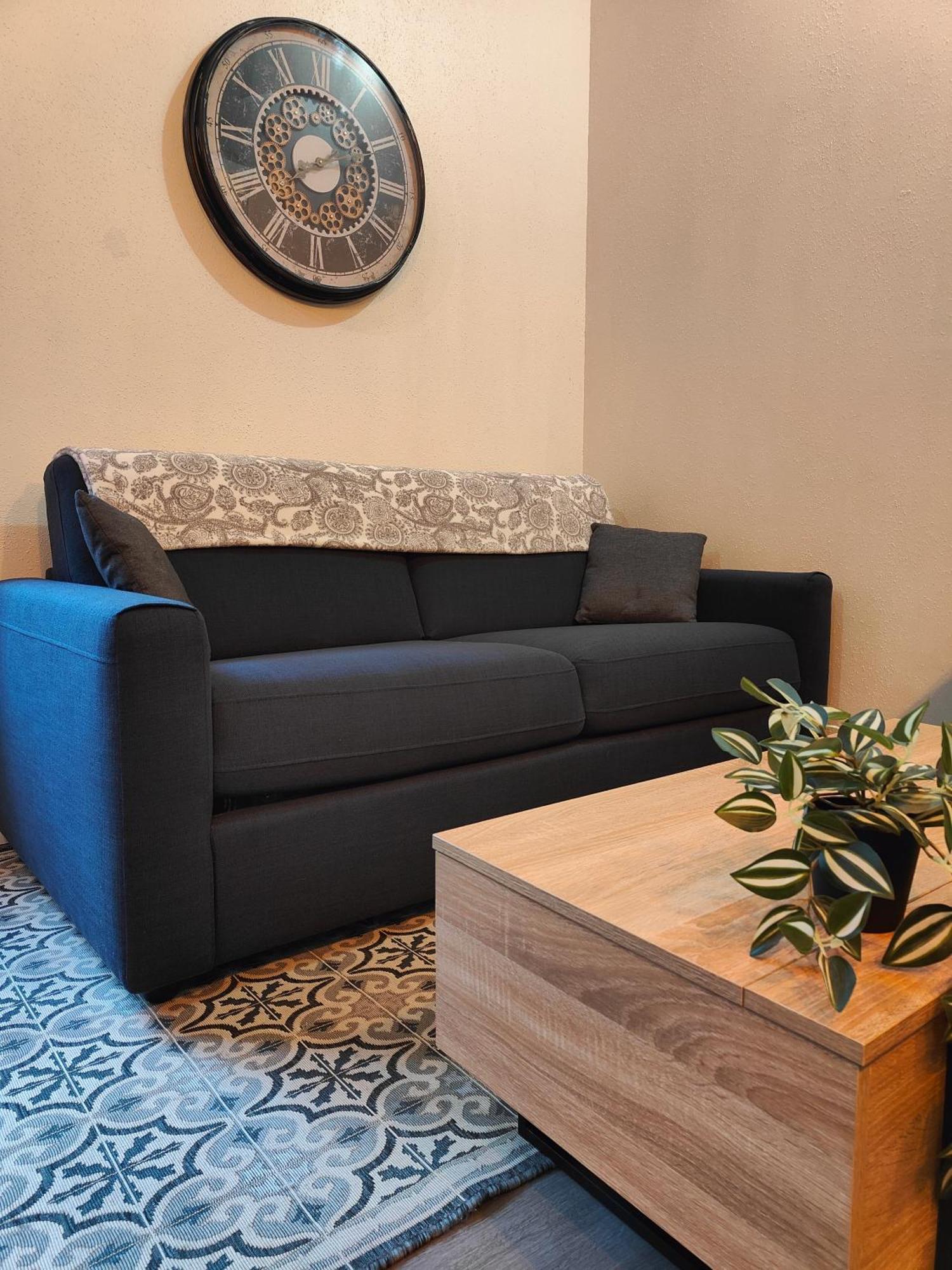 Le Coquelicot - Hyper-Centre - Wifi - Calme Apartment Алби Екстериор снимка